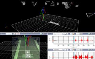 Motion analysis using the Vicon system